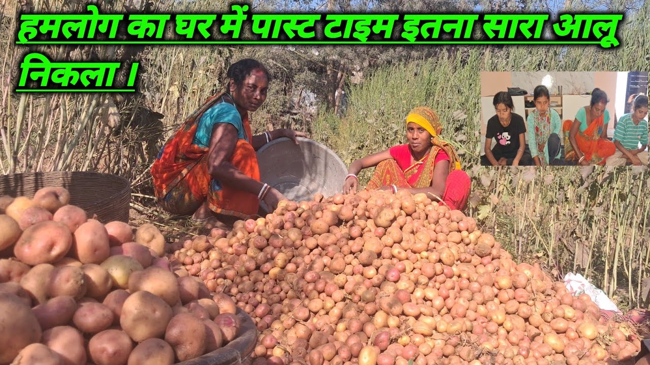 Aalu bahut Sara nikala #villagelife @souravjvlogs @RangilaFamilyVlogs 