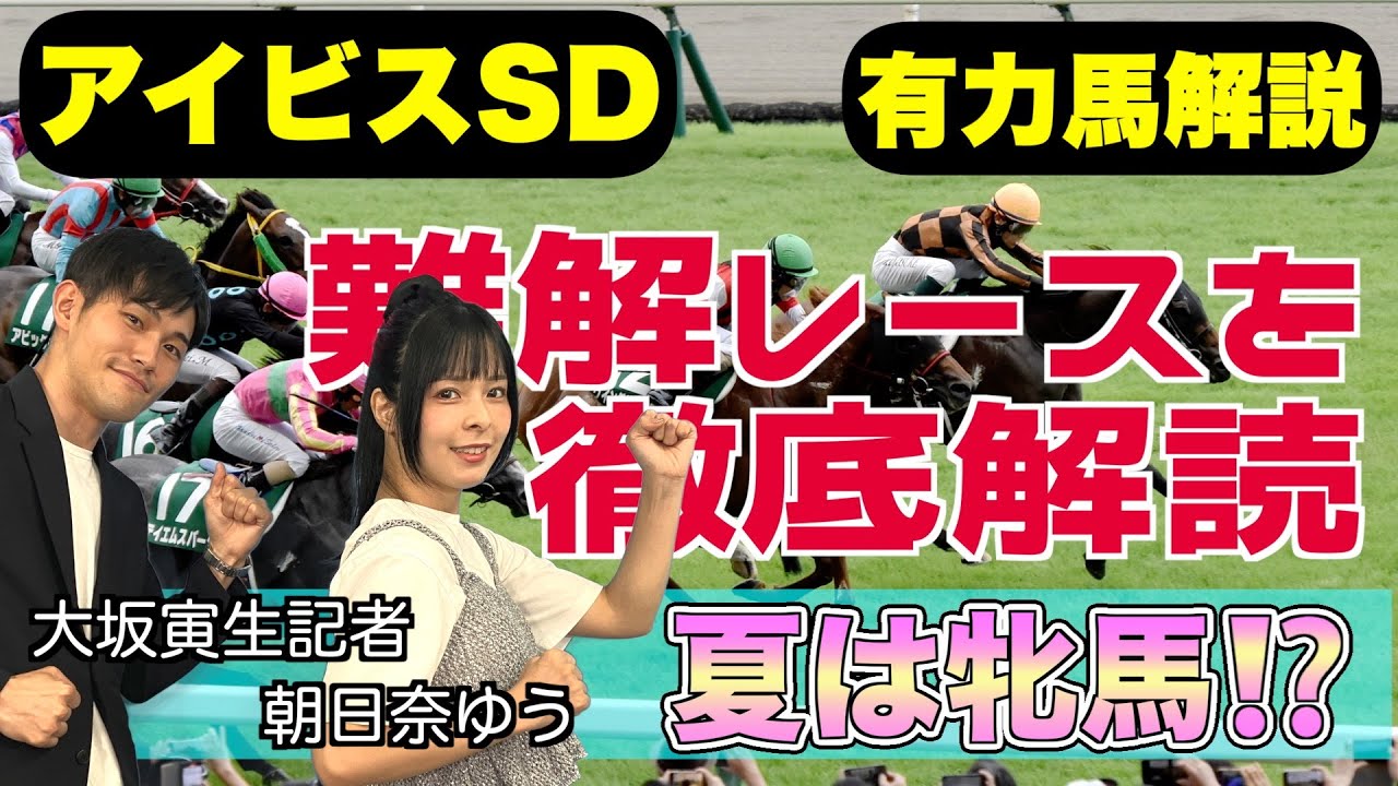 《東スポ競馬ニュース》【アイビスSD2025】スピード以外重要視する要素は？有力馬を競馬記者が解説！