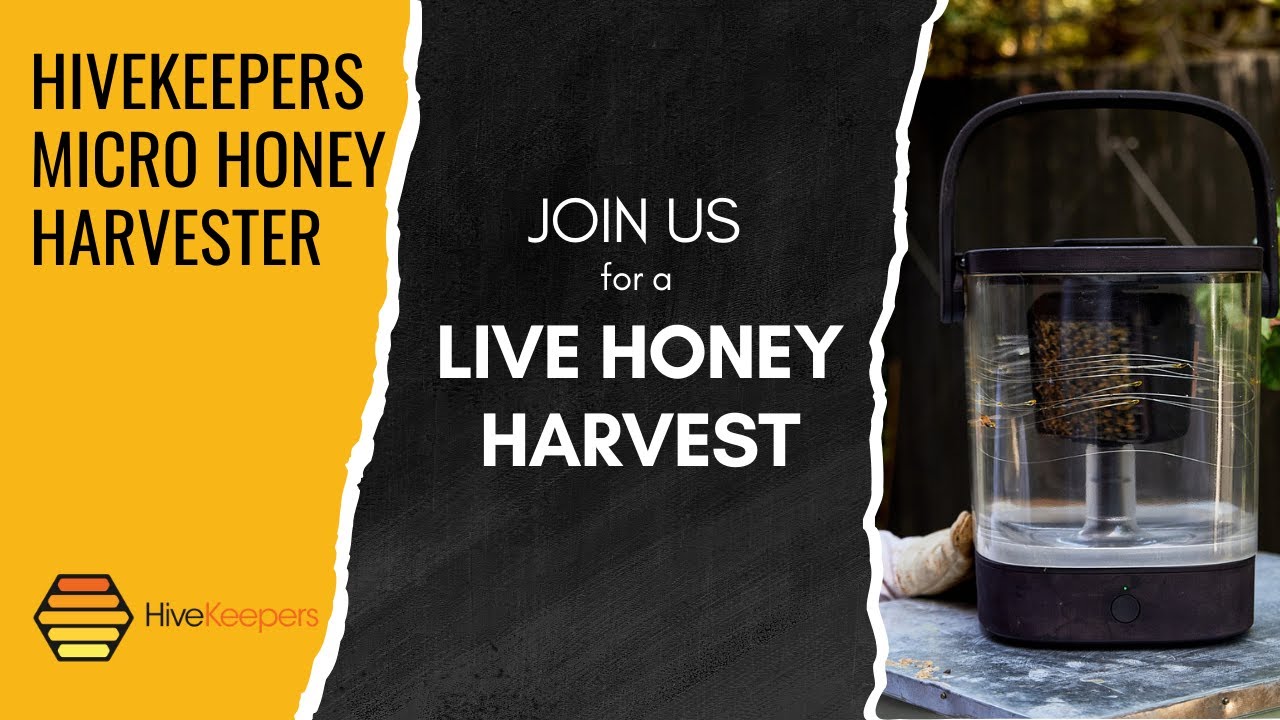 Live Honey Harvest Webinar | The Story Behind the Micro Honey Harvester