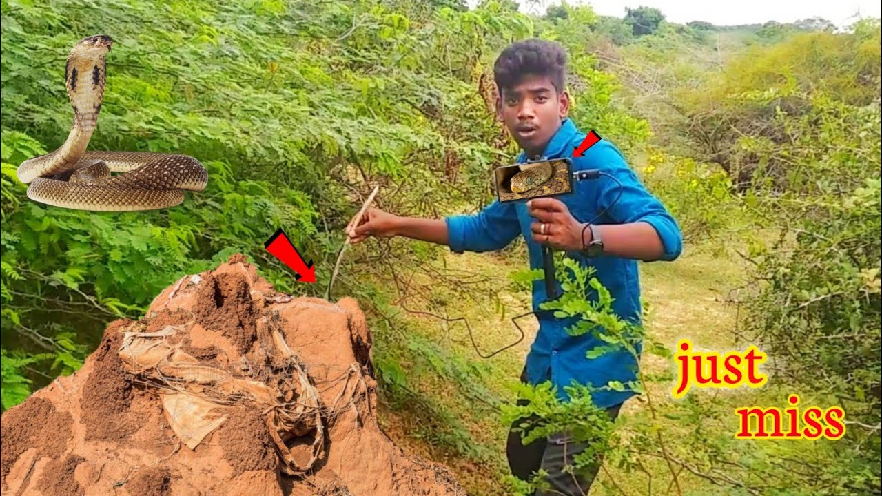 Entering Endoscopic🎥Camera Into snake🐍House🤯Shocking Result😱 MaranExperiment