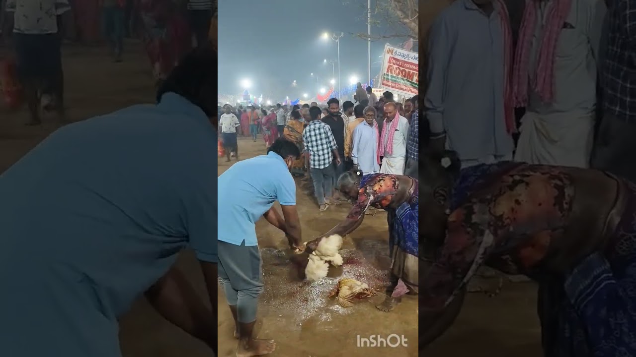 మేడారం జాతర 2026