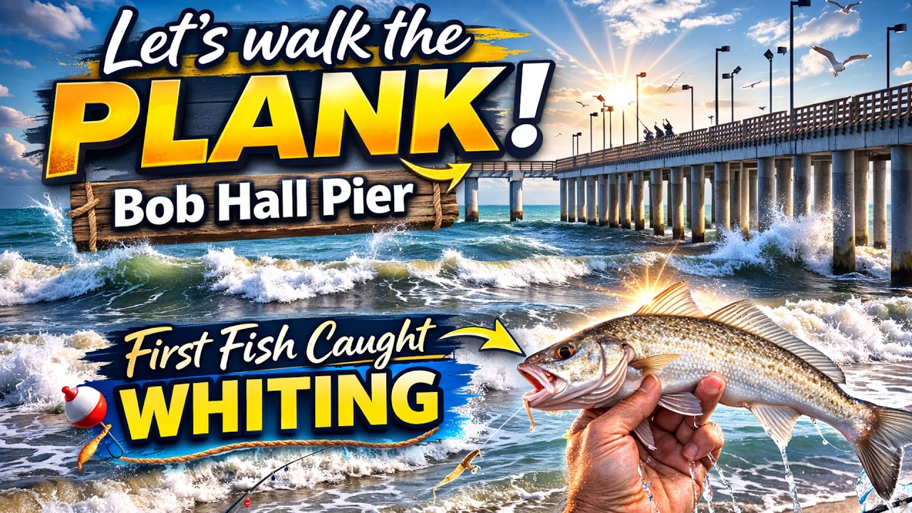 Take a Walk on Bob Hall Pier | Rebuilt, Reopened, and Ready to Fish!