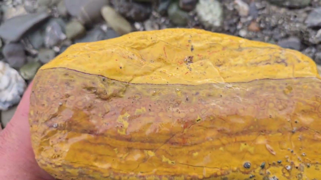Rockhounding poppy jaspers. Northern California #poppy #jaspers #agates.