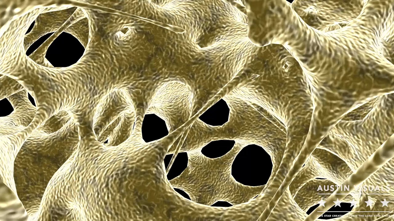 3D Scientific Visualization | Bone Zoom | Austin Visuals