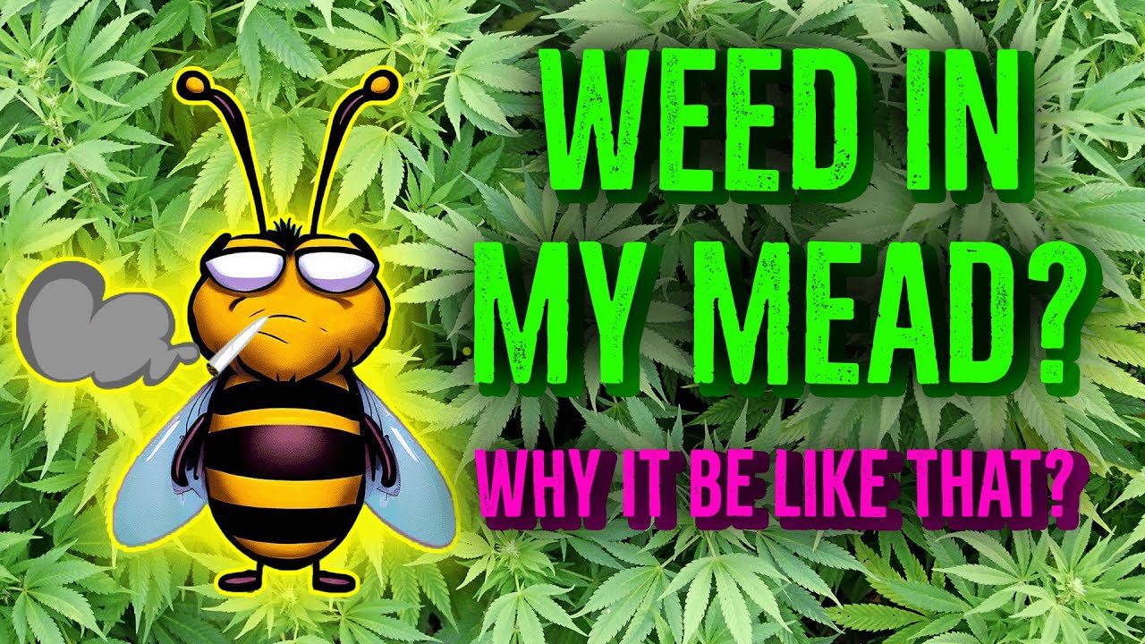 5 - Mucho Myrcene Melomel (Mango Marijuana Mead)