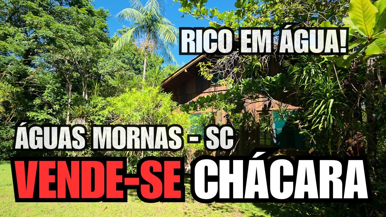 CHÁCARA EM ÁGUAS MORNAS - SC | RIACHOS | POMAR COMPLETO | NO CORAÇÃO DA CIDADE!
