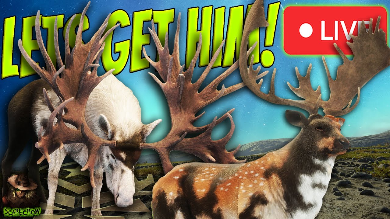 Hunting For The 2 Best Great Ones! Moose & Fallow Grinding & Chatting With The Homies!