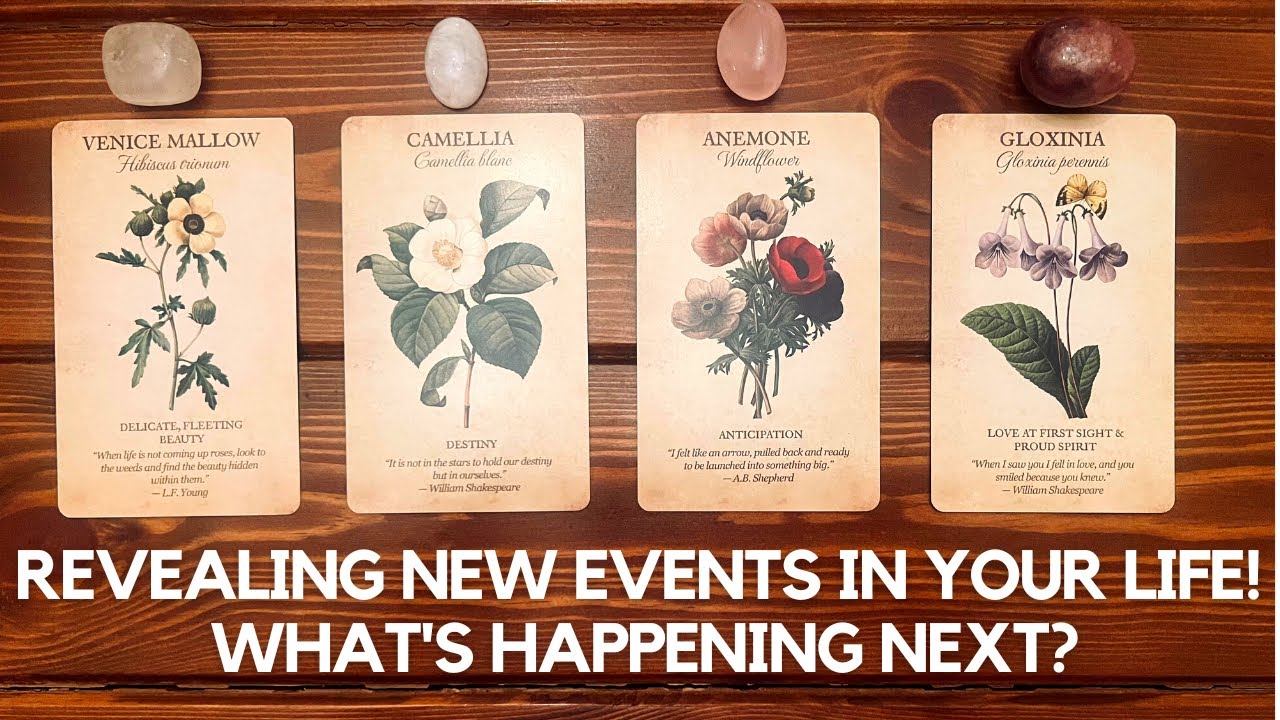 Revealing NEW EVENTS in your life! ✨ 😍 What's happening NEXT?! ✨ 😄 | Pick a card