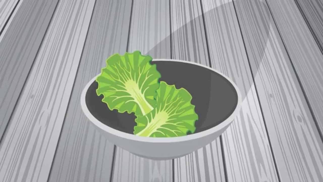 BrightRock's Lettuce animation