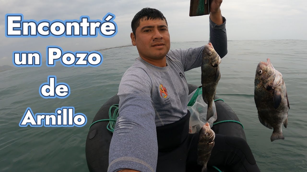 Encontré un Pozo de Arnillos!!