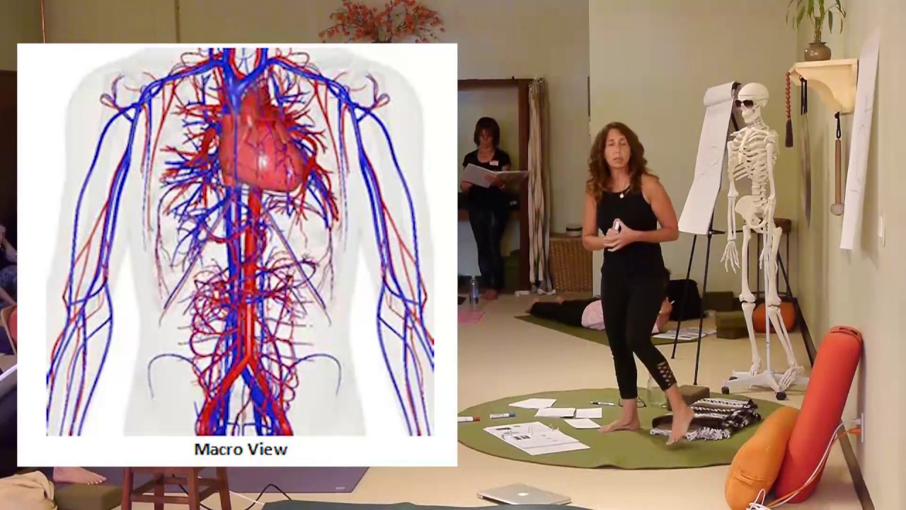 Heart Disease: Why it Happens - with Monique Lonner, Yoga Therapist | Yoga Vista