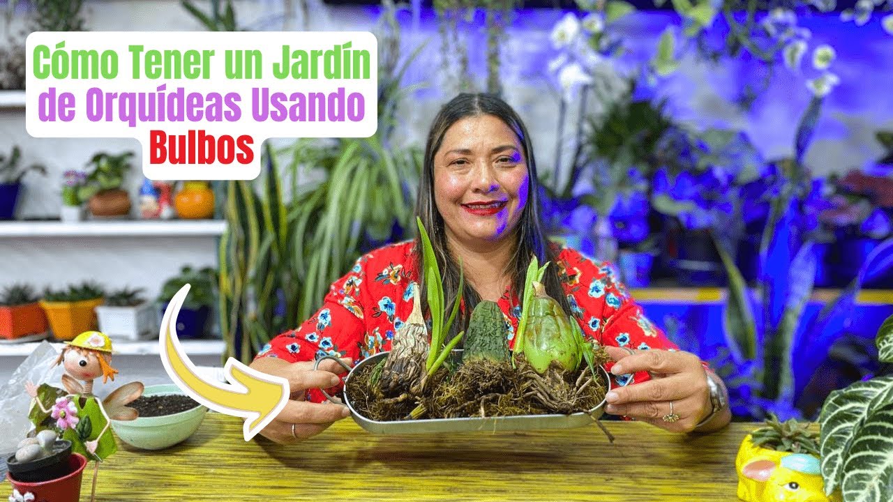 Descubre el Secreto para Reproducir Orquídeas por Bulbos #orquidea
