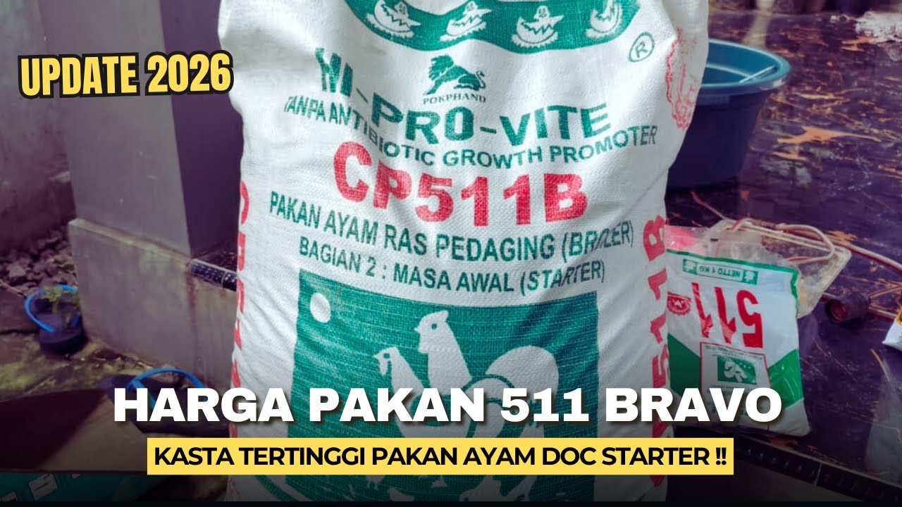 Harga Pakan Ayam Pur 511 Hi Pro Vite Per Karung Update 2026