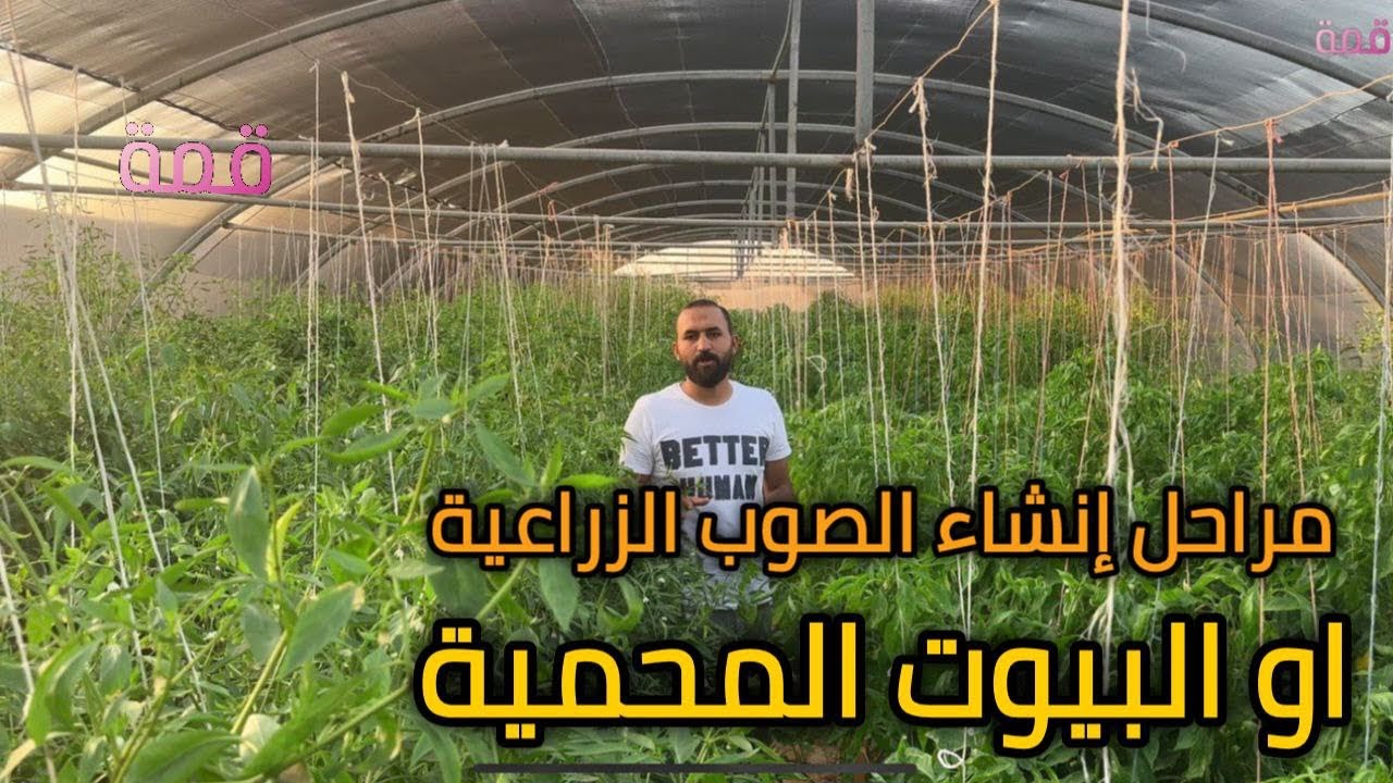 تعرف علي 