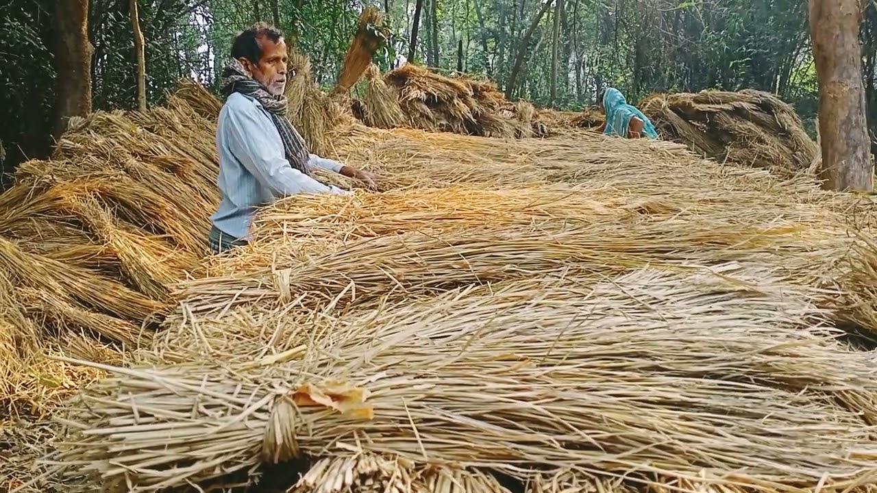 Rice straw storage Paloi making process in West Bengal🌾🌾🌾🌾🌾 Youtube🌾🌾🌾 videos🌾🌾