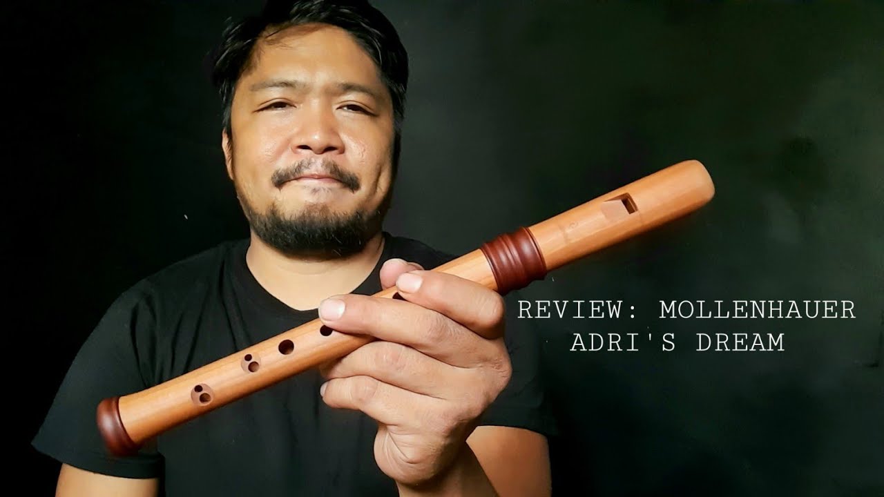 Mollenhauer Dream Recorder Review