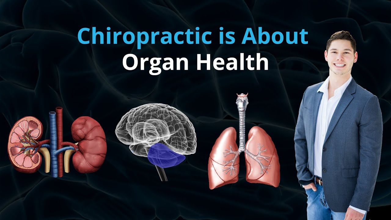 Chiropractic is about ORGAN Health!
