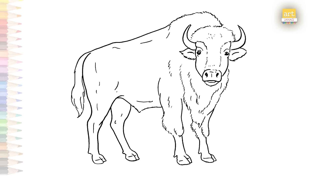 Discover the Surprising Trick to Realistic Bison Drawing | Draw easily A Bison sketch | #artjanag