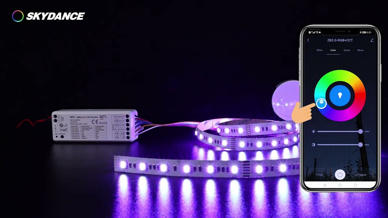 SKYDANCE RF Zigbee & RF LED Controller WZ5