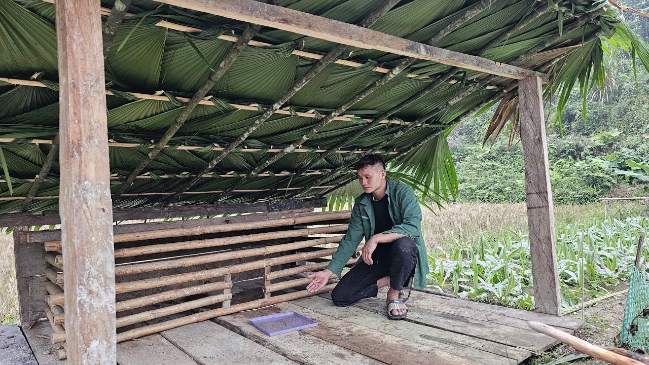 Upgrading the duck coop. Life all around us.