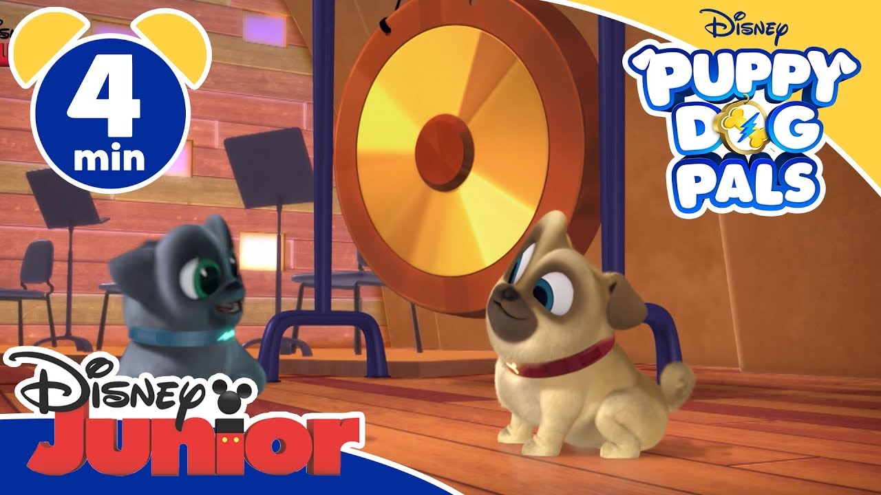 Puppy Dog Pals | Un gong 