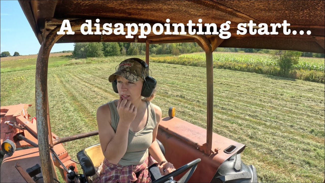 First cutting of second crop silage…