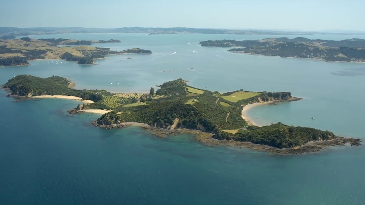 Summer is Calling - events in Auckland