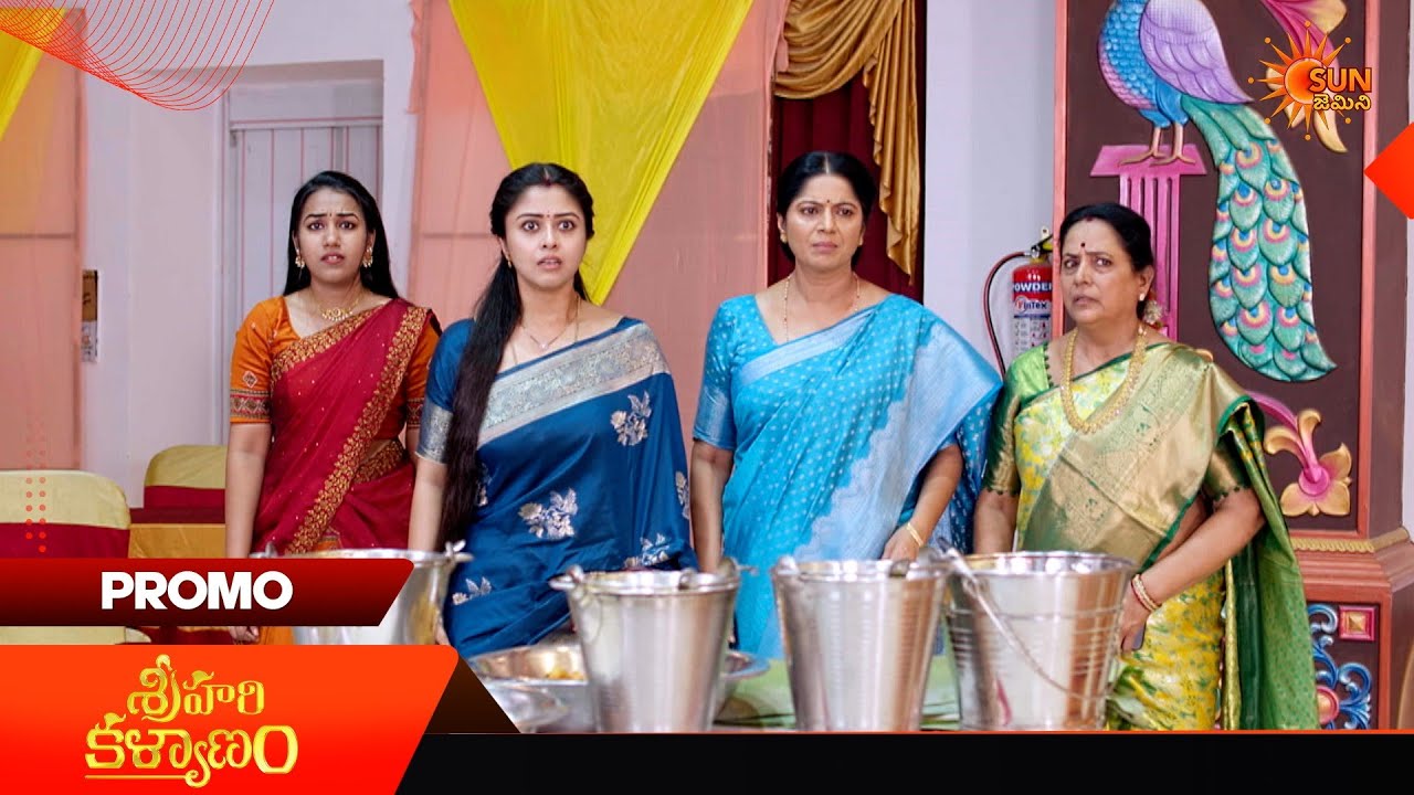 Sri Hari Kalyanam  - Promo | 25 June 2026 | Telugu Serial | Sun Gemini