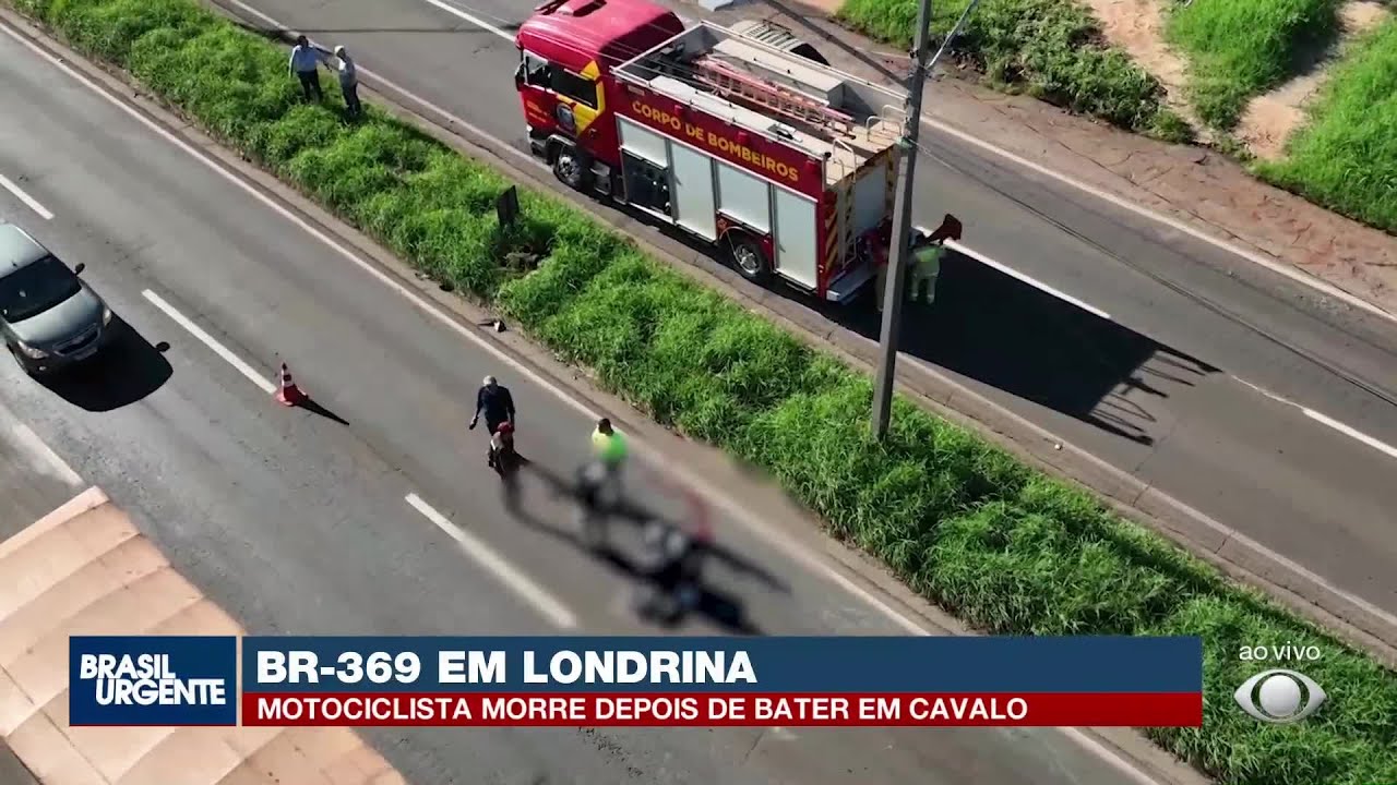 Motociclista morre após bater em cavalo na BR-369 em Londrina