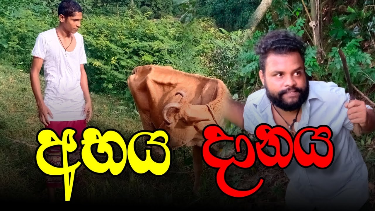 අභය දානය/abaya danaya/@netchuun production
