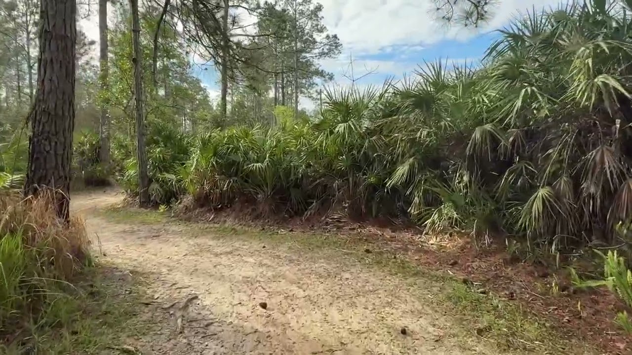 seminole woods park trail