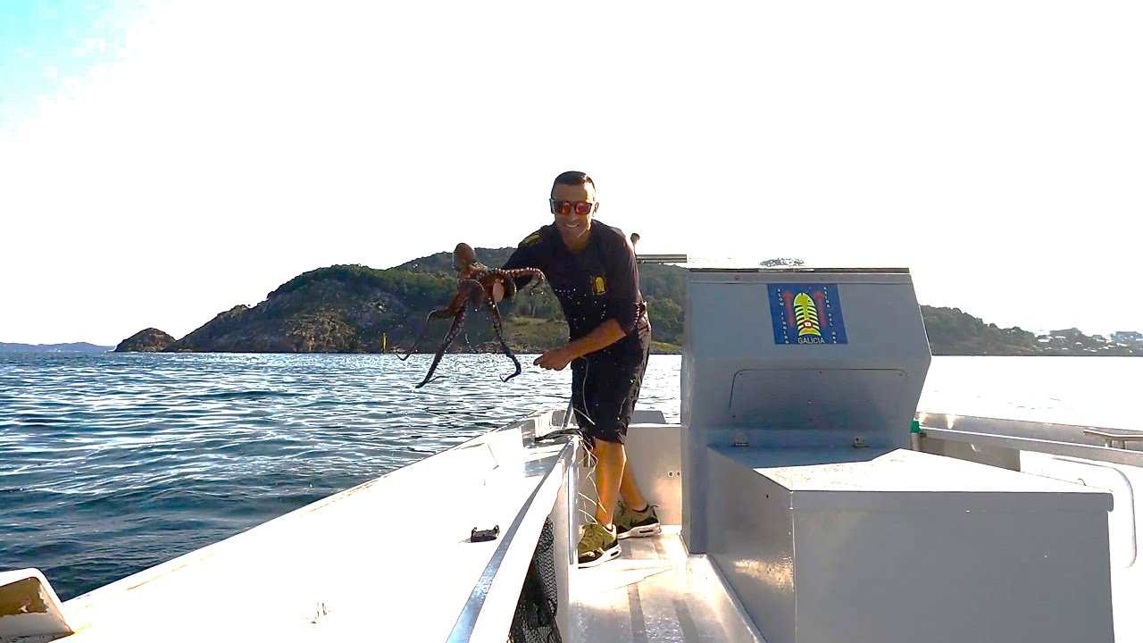 COMO PESCAR PULPO XL FACIL EN GALICIA,PULPEIRA,RAÑA,PESCA ARTESANAL