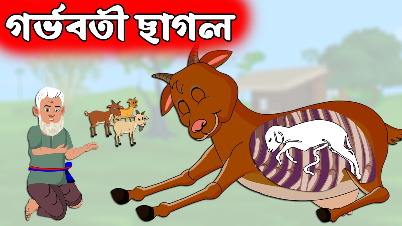 গর্ভবতী ছাগল - রূপকথার গল্প - Bangla Cartoon - চাঁদের বুড়ি - Chander Buri