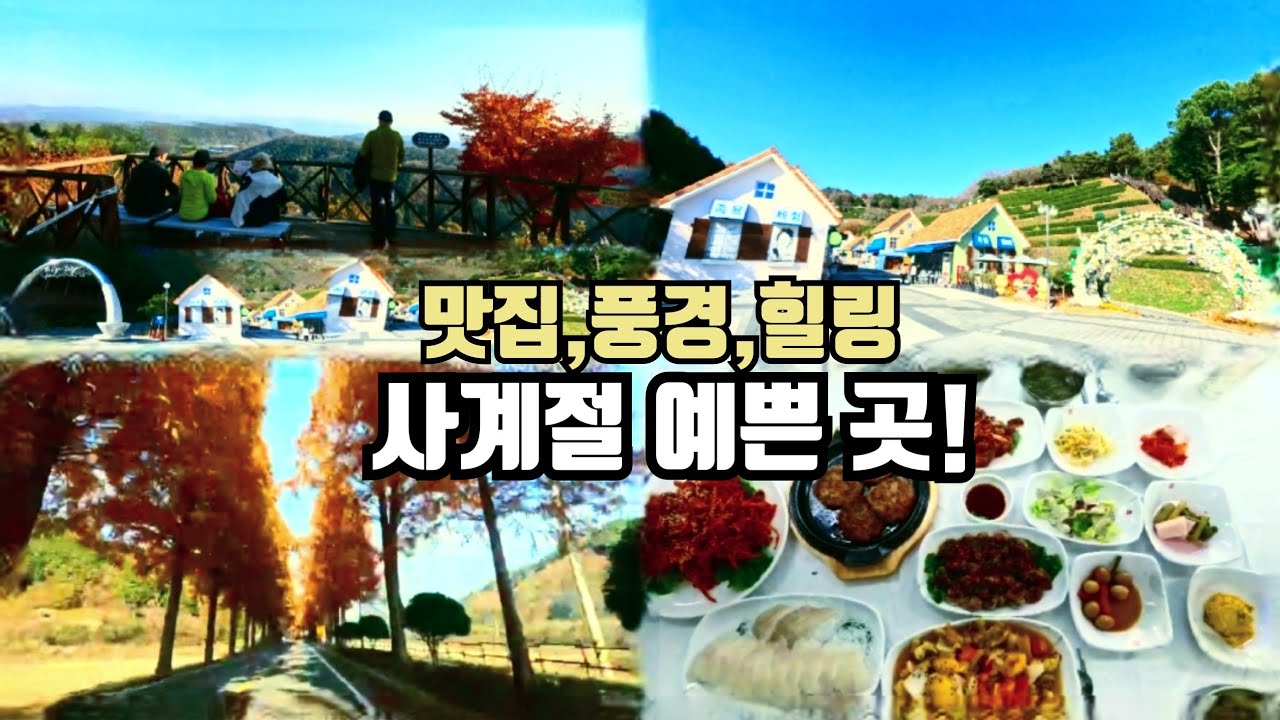 전남 보성에 가면 꼭 가봐야할 3곳 🏰 맛집,풍경,힐링 모든 것이 완벽한곳 