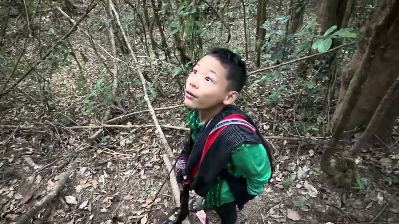 Backyard Hunting in KawThooLei Luthaw