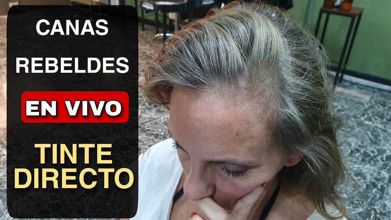 CANAS REBELDES Tutorial EN VIVO