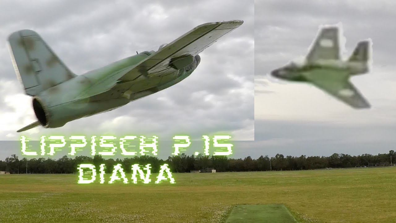 This is why I love flying jets! | Lippisch P.15 | 64mm edf | RC Planes
