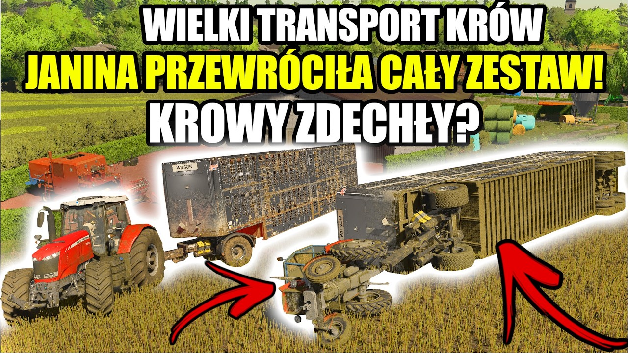 WIELKI TRANSPORT KRÓW🤯JANINA PRZEWRÓCIŁA ZESTAW-KROWY ZDECHŁ?! 🤬 | MPG |