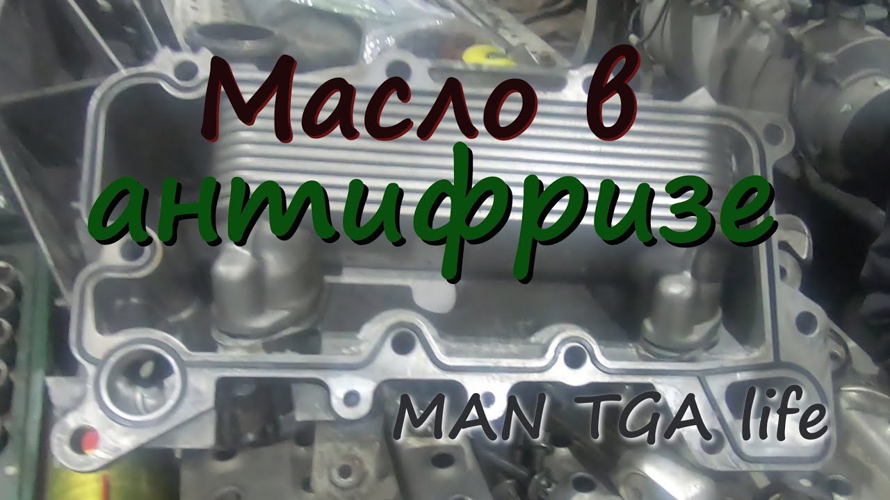 Масло в антифризе