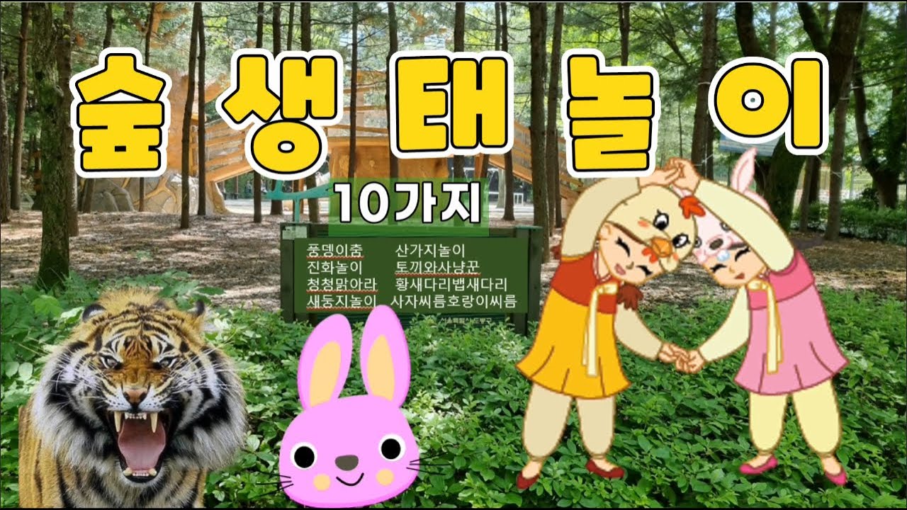 숲생태놀이모음_10가지. forest play_10 kinds