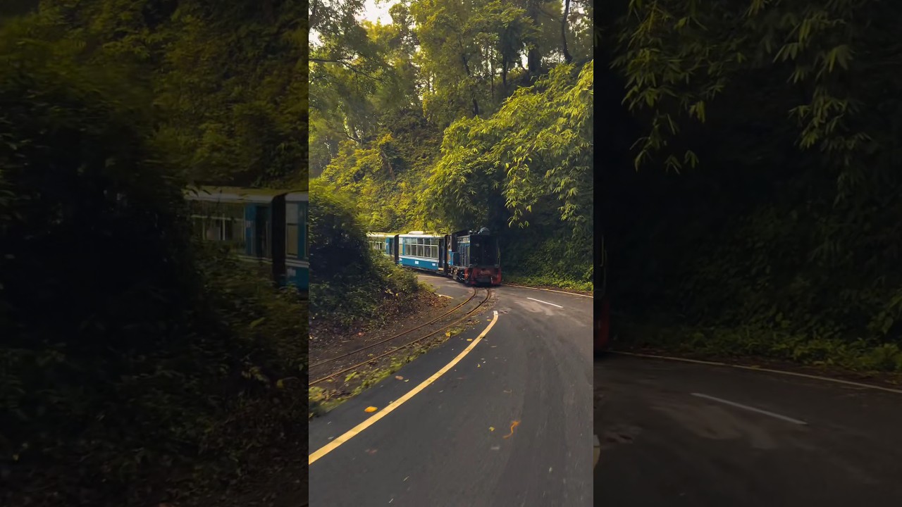 Darjeeling toy train 🚂 Queen Of Hills ⛰️ my favourite place ⛰️#darjeeling_tour #toytrain