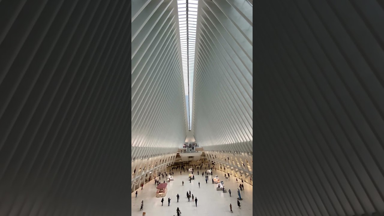 Discovering the Heartbeat of New York City Exploring Times Square, Central Park, and More