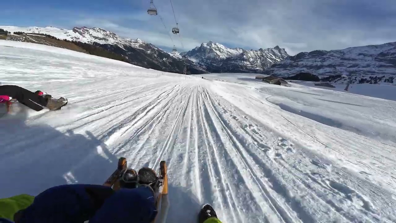 Grindelwald Mähnlichen sanjkanje