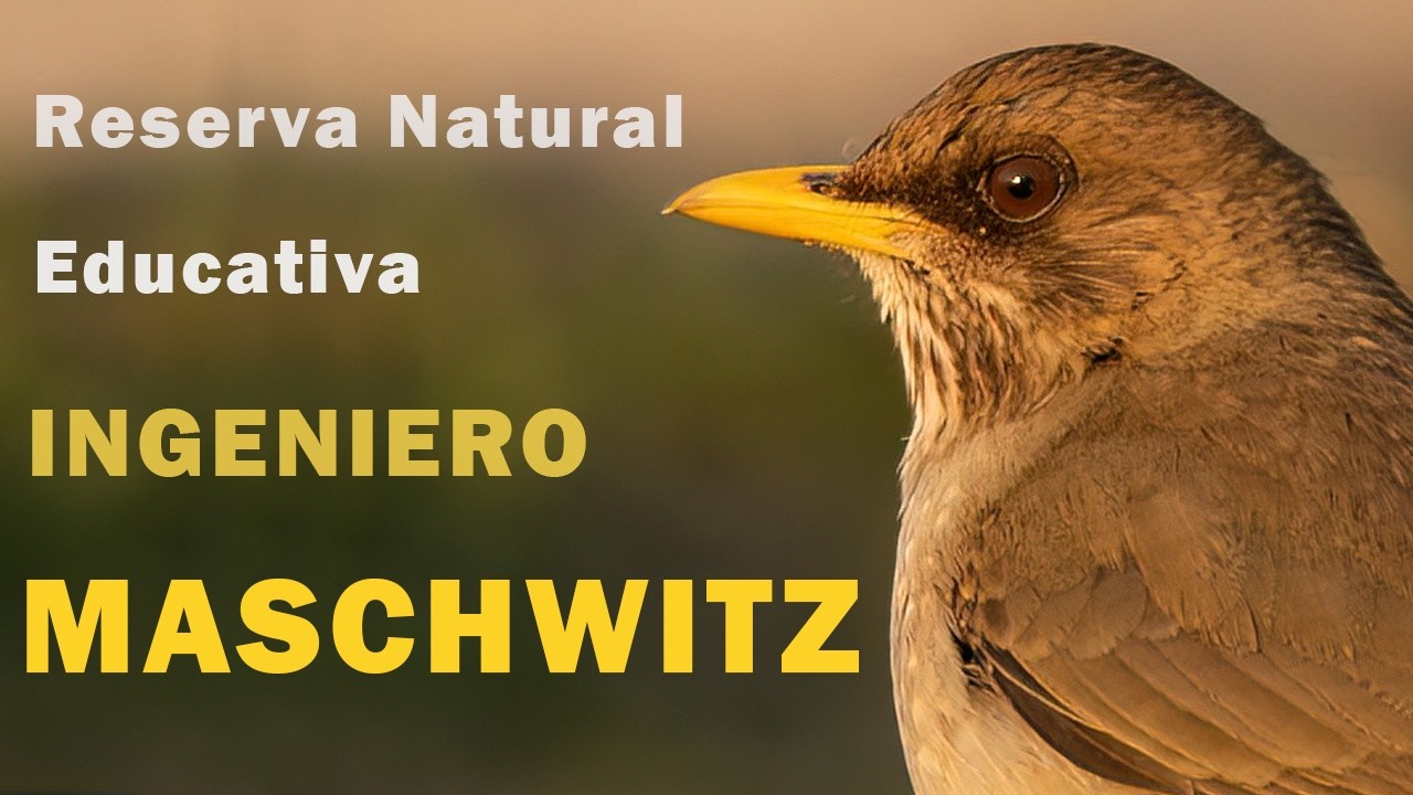 Visita a la Reserva Natural Ingeniero Maschwitz