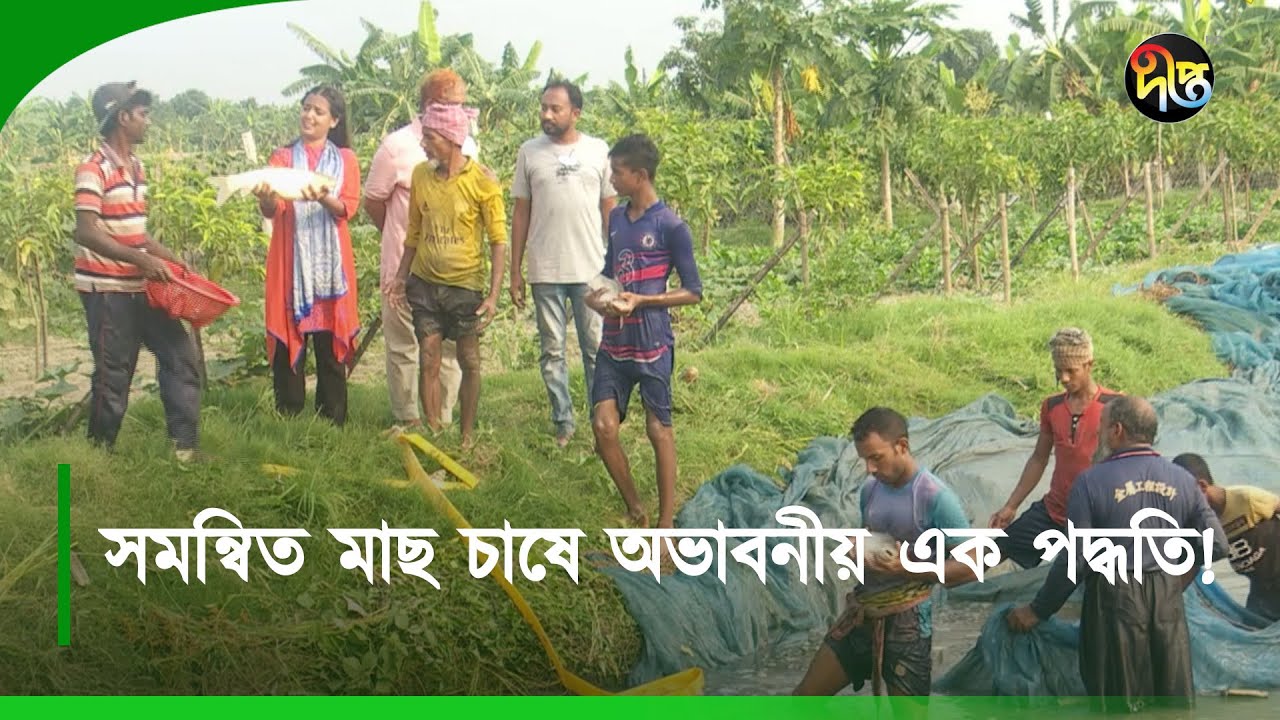 #DeeptoKrishi_C | সমন্বিত মাছ চাষে অভাবনীয় এক পদ্ধতি | Fish | Farming | Deepto Krishi | Deepto TV