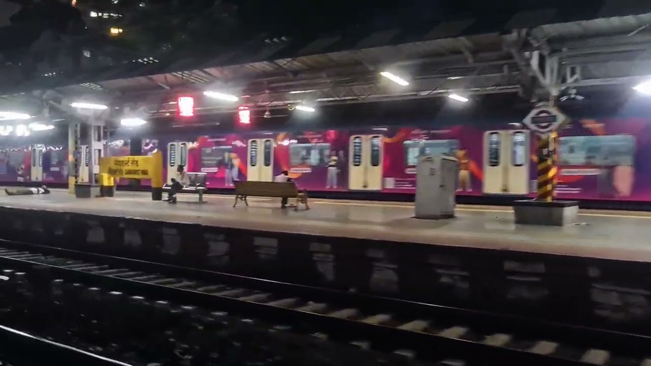 Midnight Rails: A Soothing Train Journey