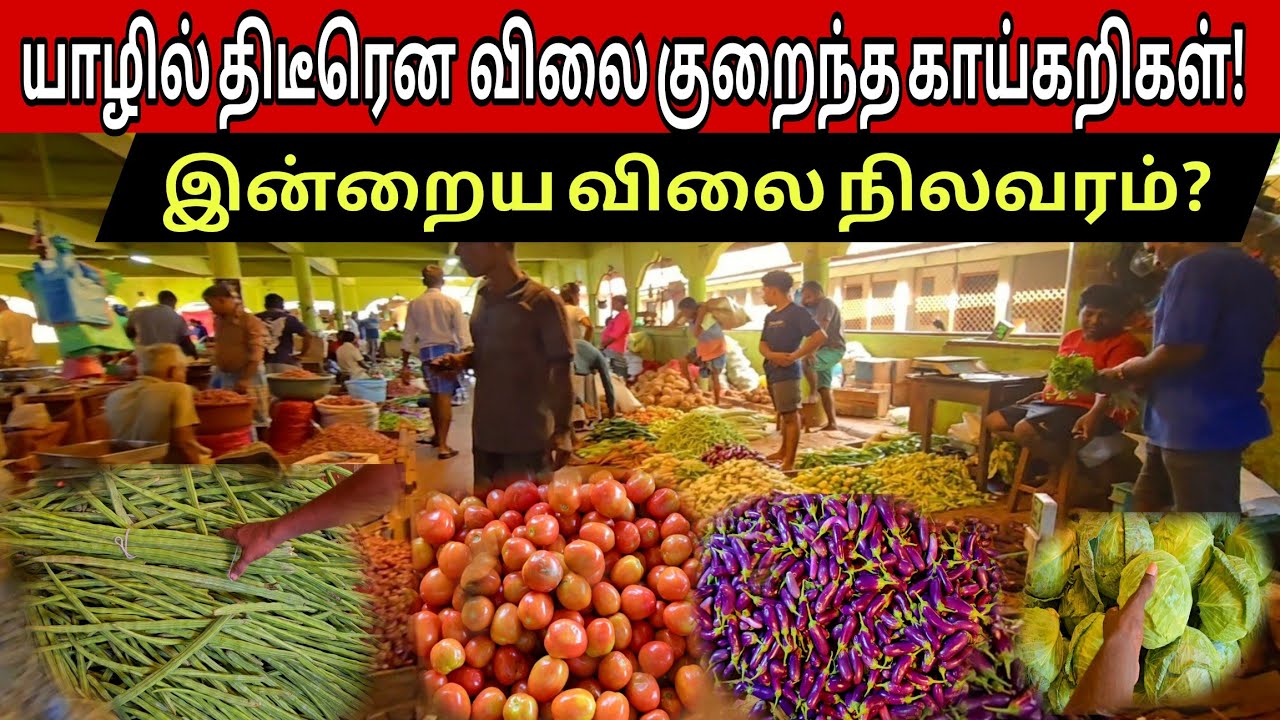 🔴யாழில் திடீரென அதிரடியாக விலை குறைந்த காய்கறிகள்!இன்றைய விலை நிலவரம்? வாங்க சரியான இடம் இதுதான்!