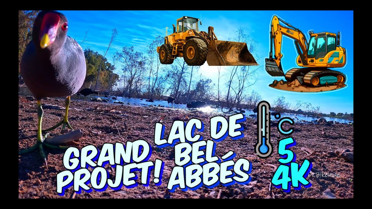 SIDI BEL ABBÉS VUE D'EN BAS 30 Mars Projet au Lac RAMADAN #134  #سيدي_بلعباس  #sidibelabbes #dz