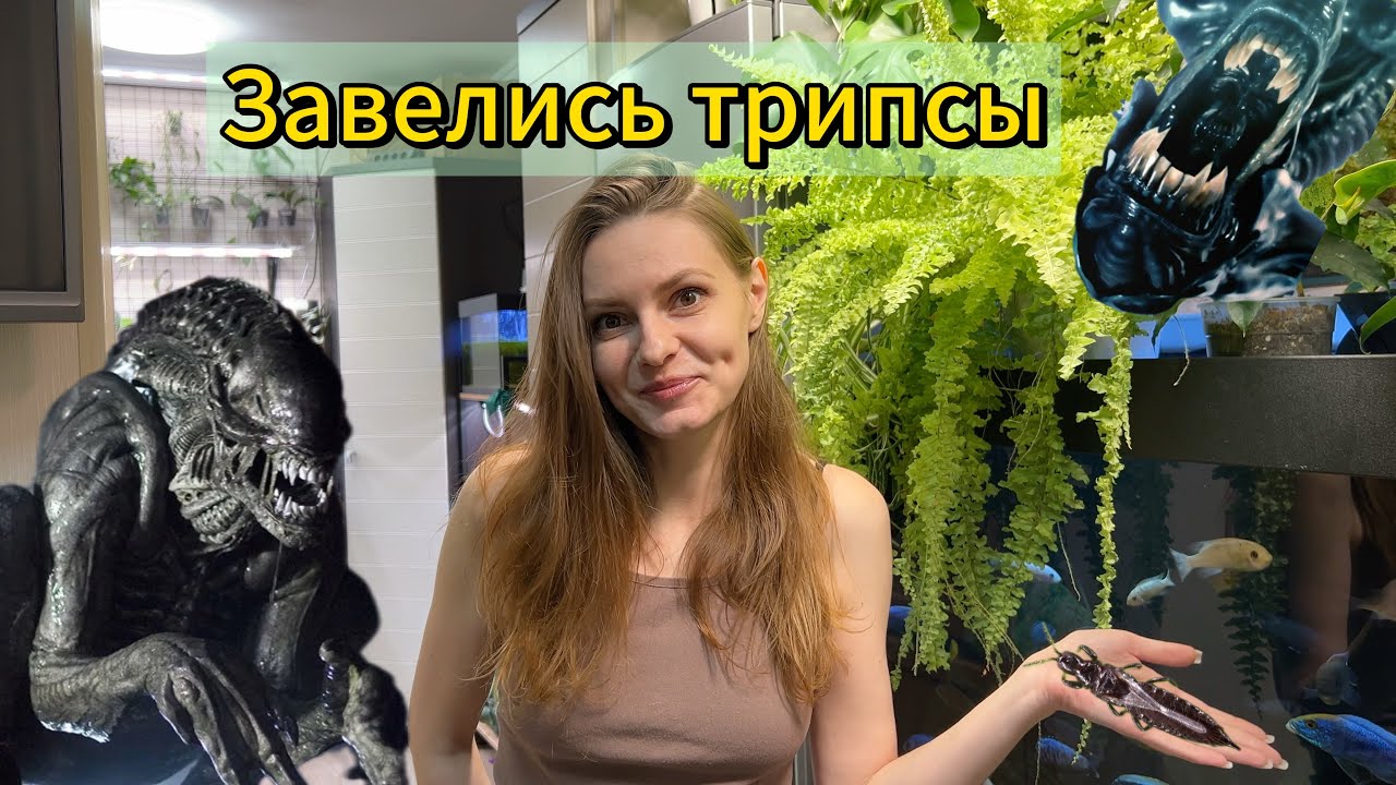 У МЕНЯ ТРИПСЫ | никогда такого не было и вот опять 