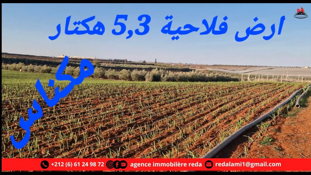 Meknes 5 hectares  مكناس ارض فلاحية 5 هكتارات و 3000 م